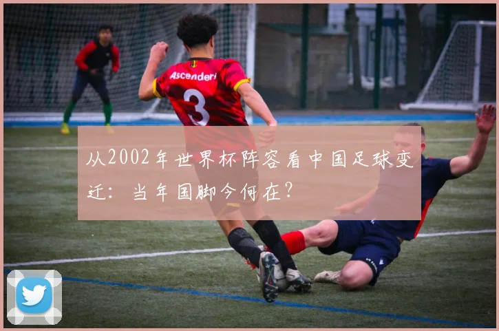从2002年世界杯阵容看中国足球变迁：当年国脚今何在？